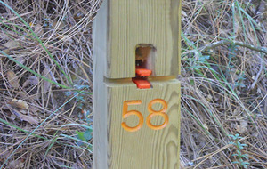 Pique-nique et course d'orientation