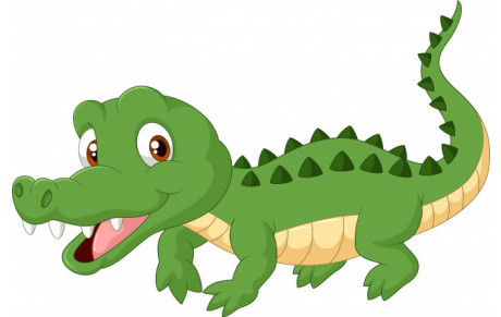 Croco 2020/2021