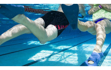 aquapalme